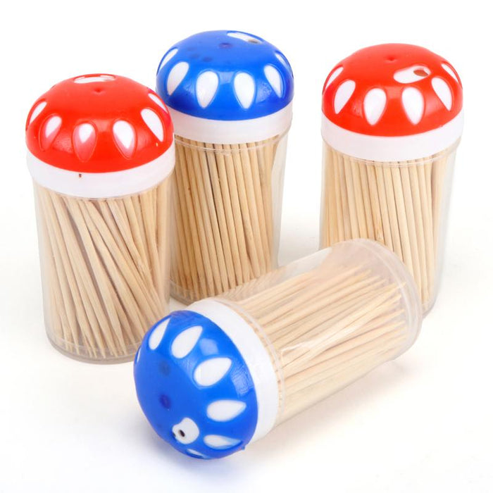 Toothpicks 4 Pack - 600 Pieces